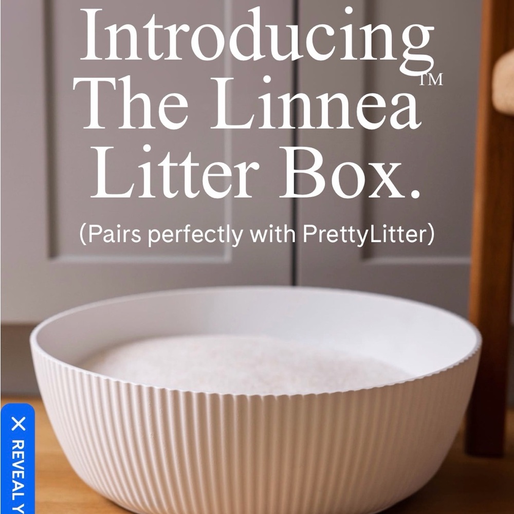Pretty Litter Cat Bowl litters for cats